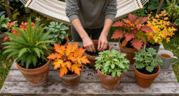 10 Foolproof Plants That Are Far Cheaper In Fall – Fill Up Your Yard For Years Of Beautiful Blooms