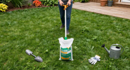 11 Best Lawn Repair Products in 2026