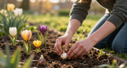 12 Best Spring Flowering Bulbs in 2026