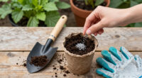 15 Best Mycorrhizal Inoculants in 2026