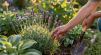 15 Best Perennial Garden Plants in 2026