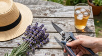 5 Best Lavender Pruning Shears in 2026