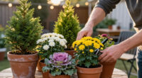 8 Best Fall Winter Patio Plants in 2026