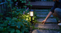 Best Solar Garden Lights Compared