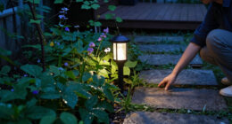 Best Solar Garden Lights Compared