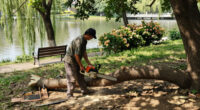 Crews Start To Remove Trees From San Francisco Waterfront Park - NBC Bay Area