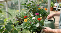 Frances Tophill Surges In Global Coverage