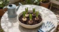 How To Plant Hyacinth Bulbs In September For Bowls Of Fragrant Christmas Flowers