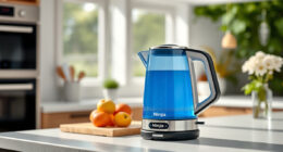 Keep Your Ninja KT200BL Kettle Sparkling & Performing This Summer