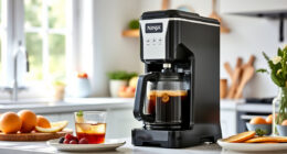 Ninja Hot & Iced XL Coffee Maker: The Ultimate Summer Coffee Companion