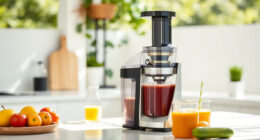 Summer Care Tips for the Ninja NeverClog Cold Press Juicer