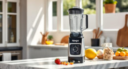 Summer Care Tips for Your Ninja Professional Blender