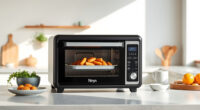 Summer Care & Troubleshooting for the Ninja Foodi XL Pro Air Oven