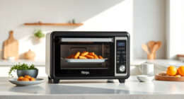 Summer Care & Troubleshooting for the Ninja Foodi XL Pro Air Oven