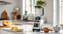 Summer Refreshments Made Easy with the Ninja Professional Blender