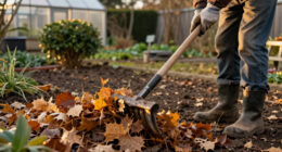 10 Best Garden Cleanup Tools for Faster Yard Work in 2027