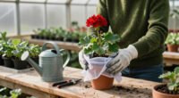 10 Best Geranium Winter Care Supplies for Frost Protection in 2027