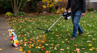 13 Best Fall Lawn Fertilizers for Stronger Spring Grass in 2027
