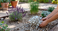 15 Best Drought-Tolerant Perennial Plants for Water-Wise Gardens in 2027