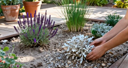 15 Best Drought-Tolerant Perennial Plants for Water-Wise Gardens in 2027