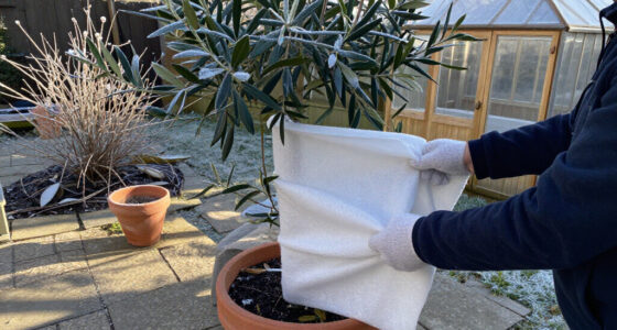 15 Best Outdoor Winter Plant Protection Options for 2027