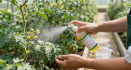 15 Best Thrips Control Products for Healthier Plants in 2027