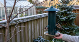 16 Of The Best Winter Bird Feeders That Look Good Enough To Leave Out All Year
