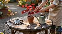 4 Best Shrubs For Fall Color In 2027