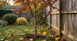 6 Trees To Prune In October To Help Prevent Winter Storm Damage