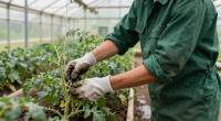 7 Best Protective Garden Work Shirts for 2027