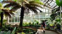 9 Of The World’s Most Extraordinary Gardens, From Skyscraper Forests To A Tropical Rainforest Hidden Inside A Former Mine