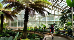 9 Of The World’s Most Extraordinary Gardens, From Skyscraper Forests To A Tropical Rainforest Hidden Inside A Former Mine