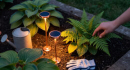 These $15 Amazon Solar Lights Look Like Fireflies Dancing Over Your Plants – The Secret To Bringing Dark Fall Pots To Life