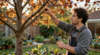 Think Twice Before Pruning Trees In October – Only These 3 Exceptions Can Tolerate A Light Trim