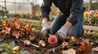 What To Do With Dahlias In October – 3 Crucial Tasks To Keep Them Thriving This Autumn