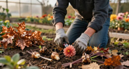 What To Do With Dahlias In October – 3 Crucial Tasks To Keep Them Thriving This Autumn