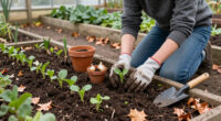 What To Plant In October For Flowers, Vegetables, And Bulbs That Will Establish Beautifully Before Winter Arrives